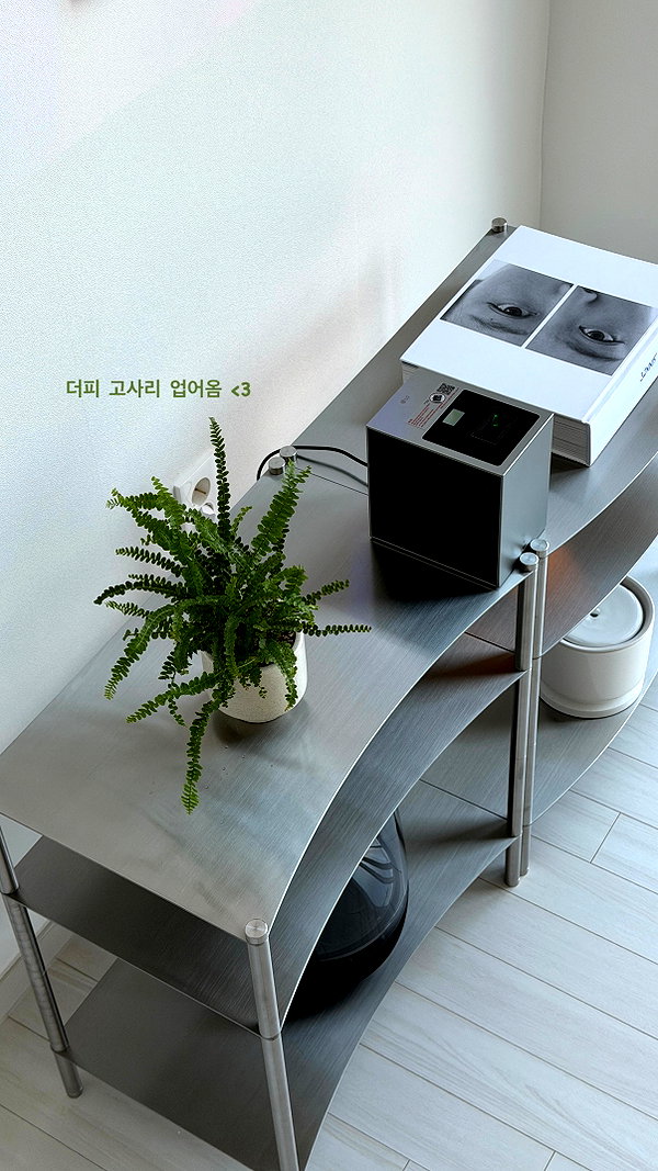daxbin instagram image archive image