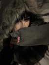 mon5tro5ity Altpins Profile Picture