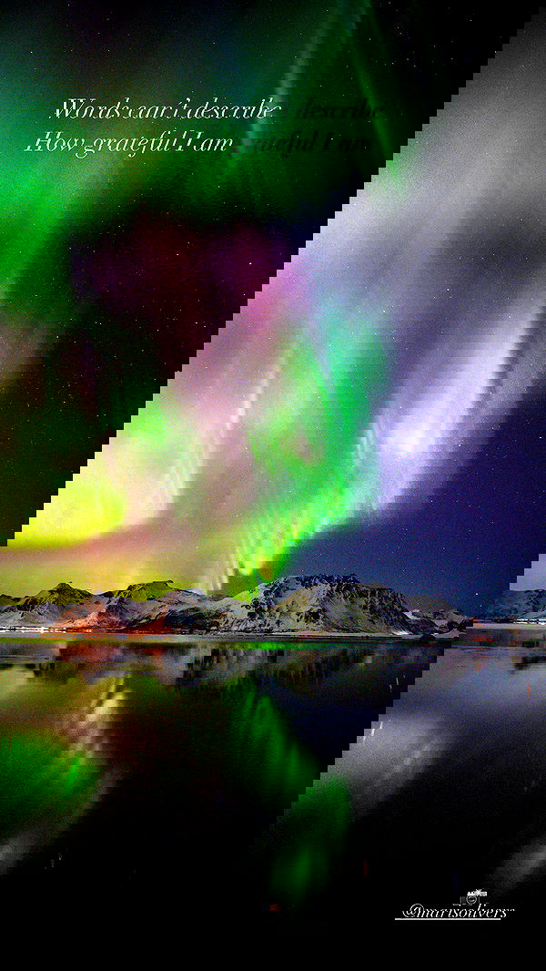 taylor.creeden taylor.creeden archive image