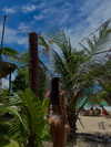 pauuuferreira_ Altpins Profile Picture