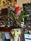 mollieruck Altpins Profile Picture