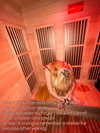 bugz4brainz Altpins Profile Picture