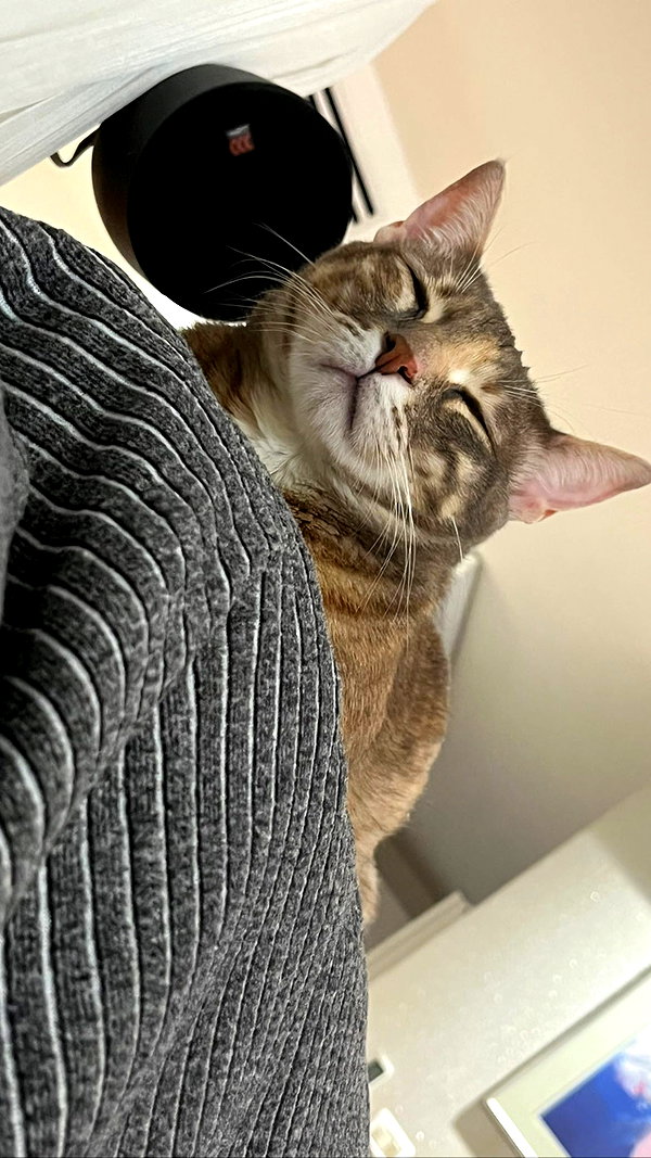 Archived image from @notchicore on Instagram