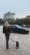 alexis.blond Altpins Profile Picture