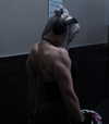 6nattynat9 Altpins Profile Picture