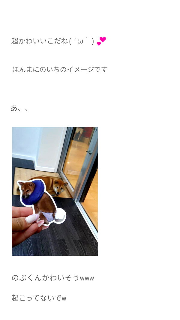 Archived image from @piyokoblog on Instagram