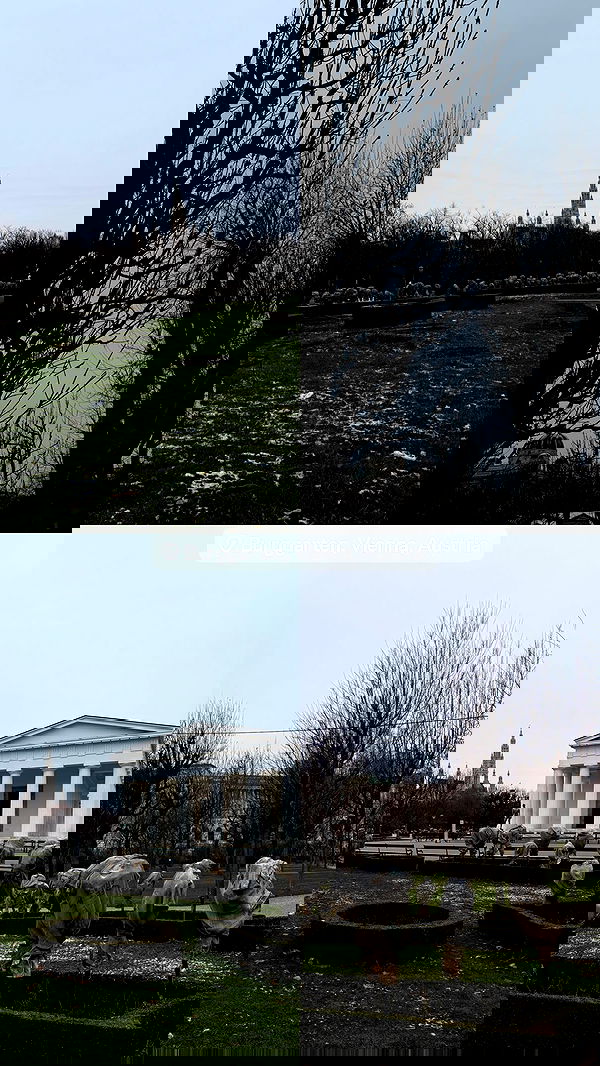 dustheadd dustheadd archive image