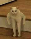 gritsa.k Altpins Profile Picture