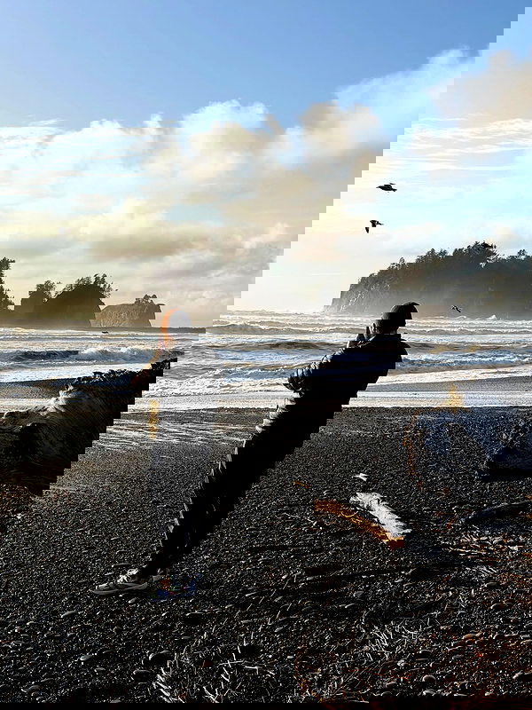 taylor.creeden taylor.creeden archive image