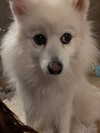 majawitzell Altpins Profile Picture