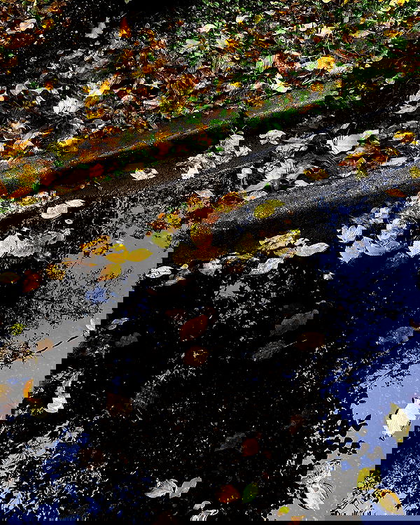 kkulakovaa image ~ Altpins