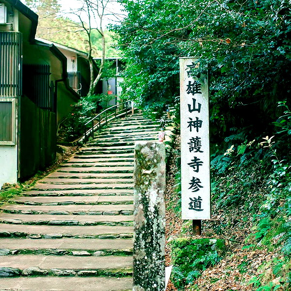 muze instagram image archive image