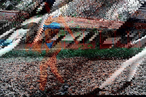 ting851204 ting851204 archive image