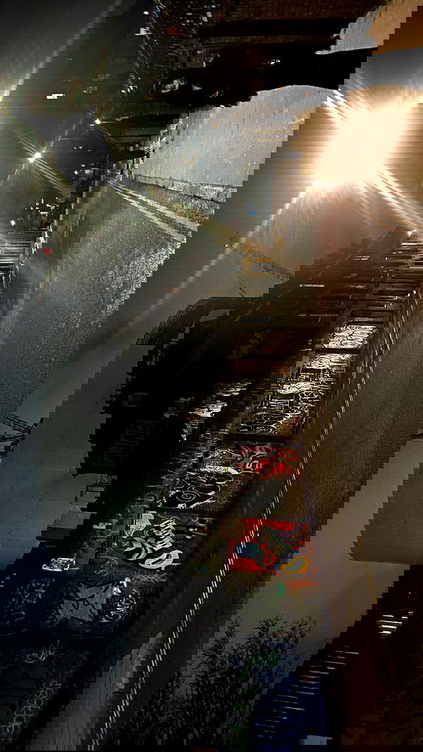 rose_xanne rose_xanne archive image