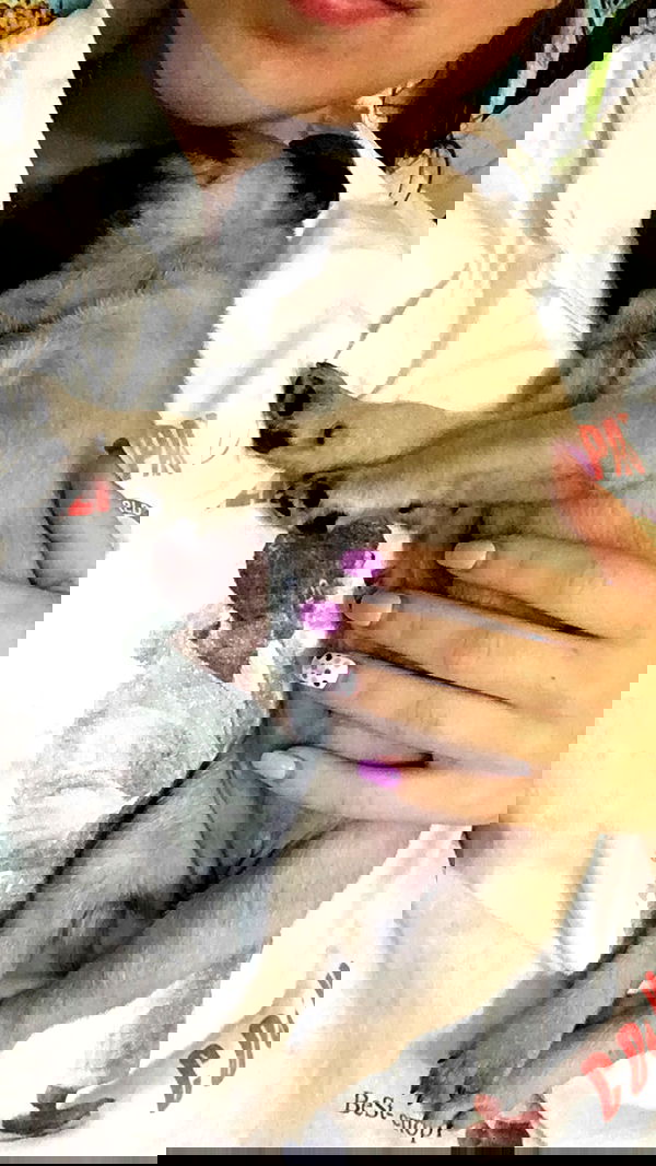 nyityam nyityam archive image