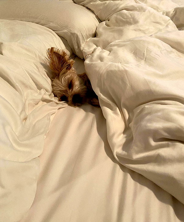 haileybieber instagram image archive image