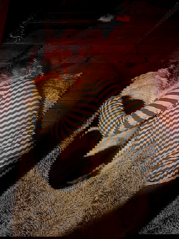 kitty.elliss kitty.elliss archive image