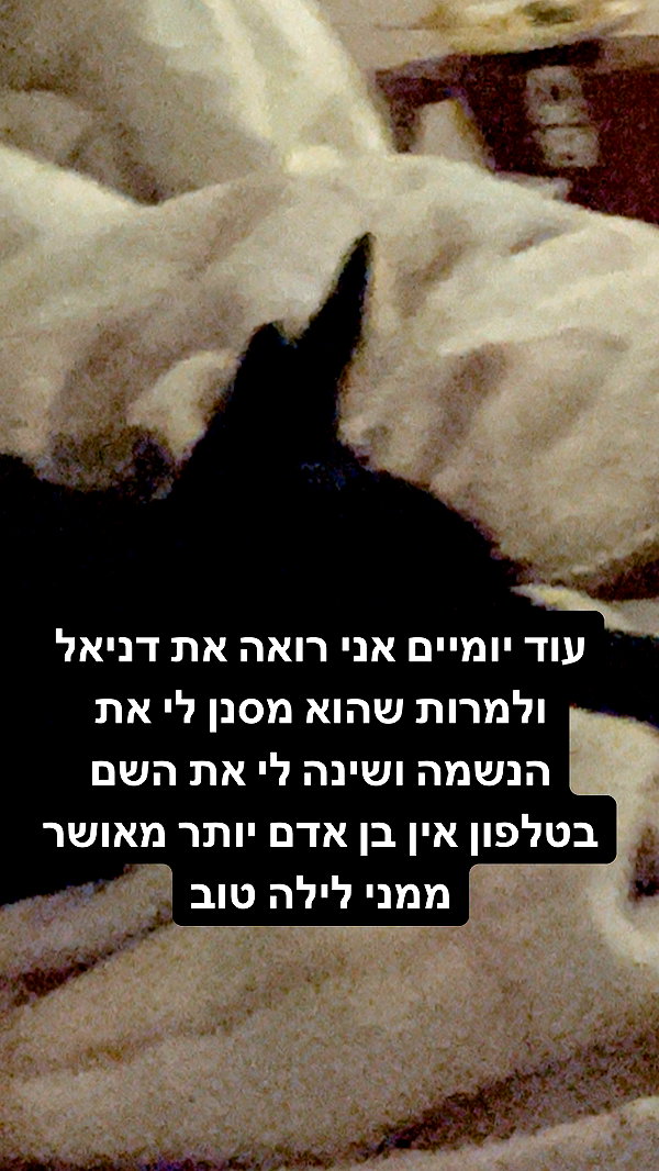 liliashaked instagram image archive image