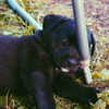 _urbaneva Altpins Profile Picture