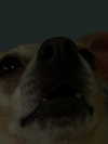 smok3ymok3y Altpins Profile Picture