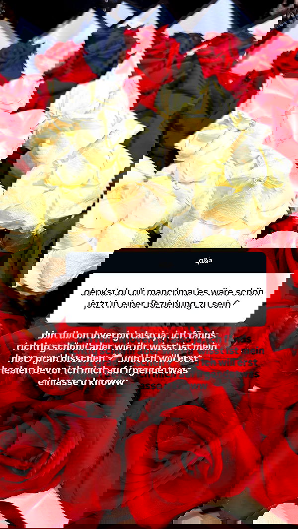 gwendolynceline gwendolynceline archive image