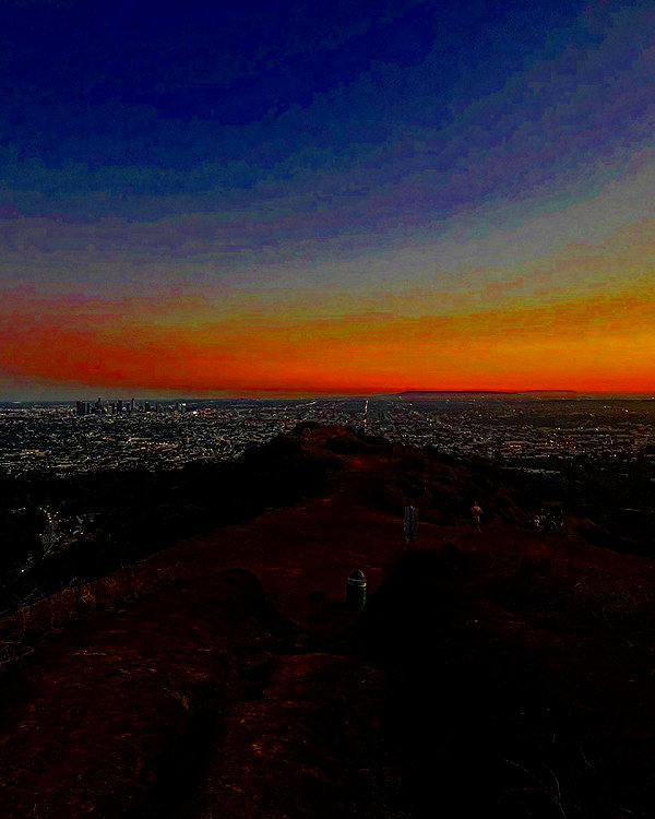 bugz4brainz instagram image archive image