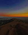 bugz4brainz Altpins Profile Picture