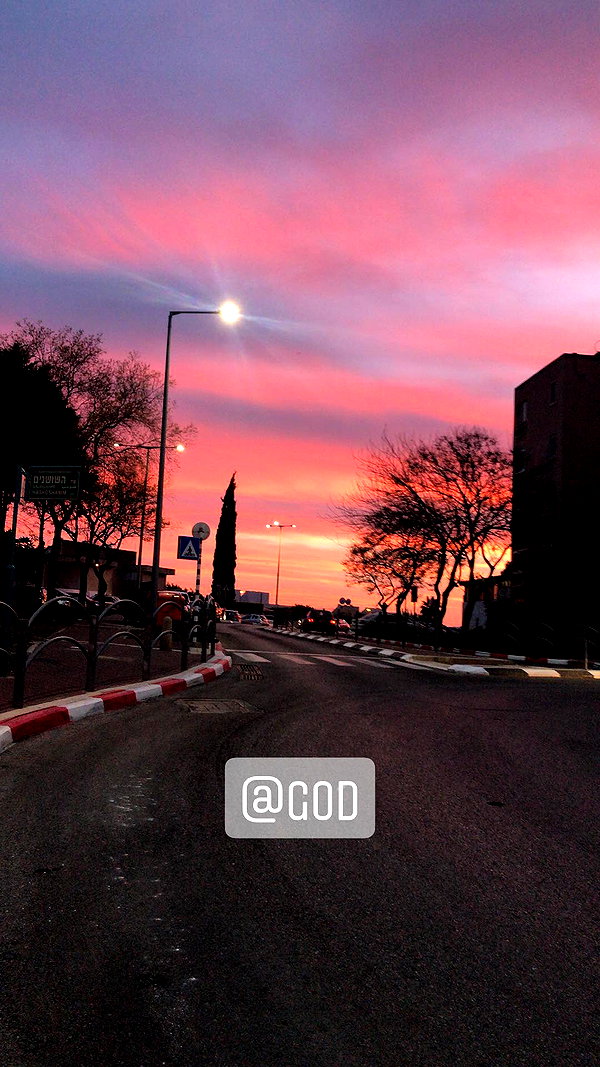 edenleiv instagram image archive image