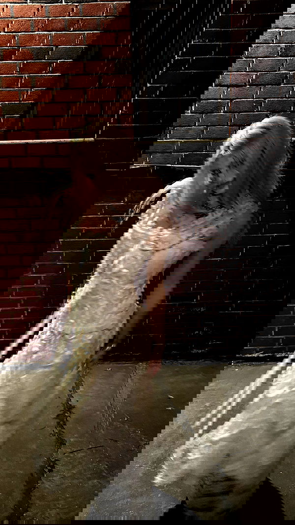 rchhhll rchhhll archive image