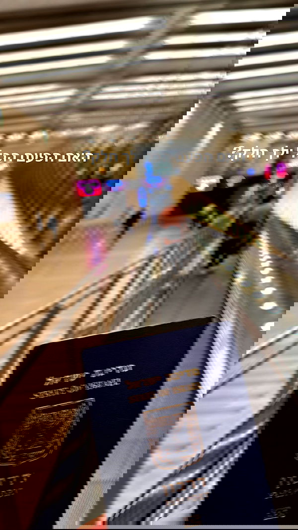 biton__adi biton__adi archive image