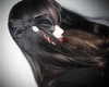 lolontlia Altpins Profile Picture