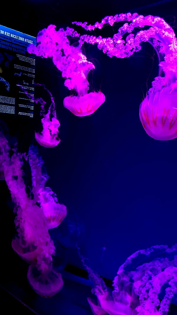 kristti.a instagram image archive image