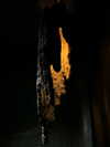 vvelum_ Altpins Profile Picture