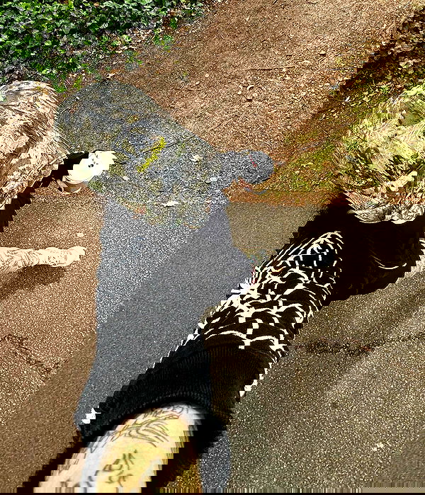 jtilb2 image ~ Altpins