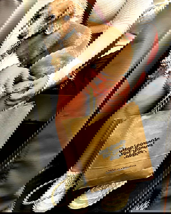 manjolamuriqi manjolamuriqi archive image