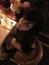 so33w.rin Altpins Profile Picture