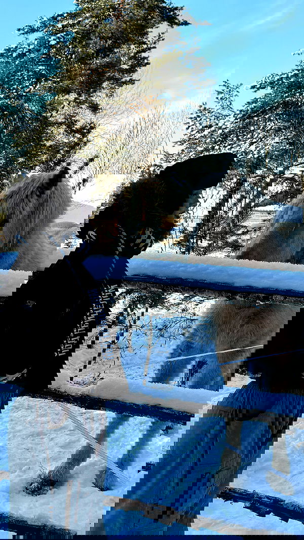 annfigma annfigma archive image