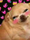 ellaexplicit_ Altpins Profile Picture