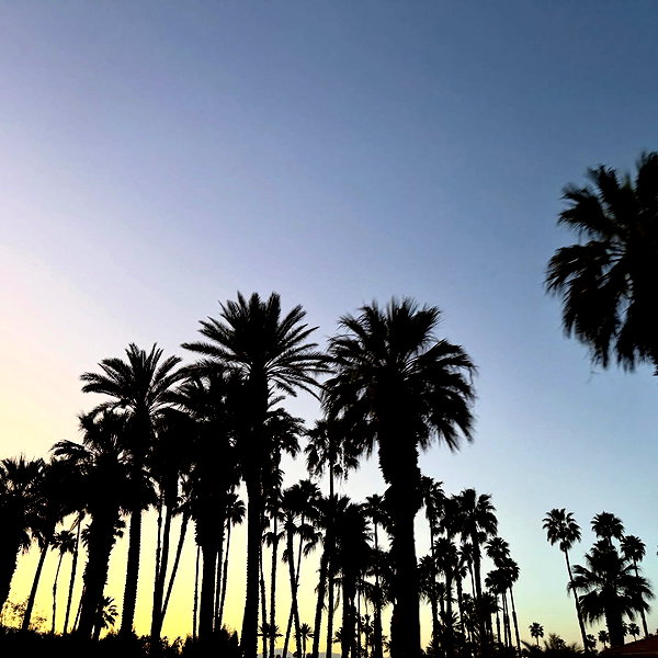 dualipa instagram image archive image