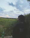 evasela__ Altpins Profile Picture