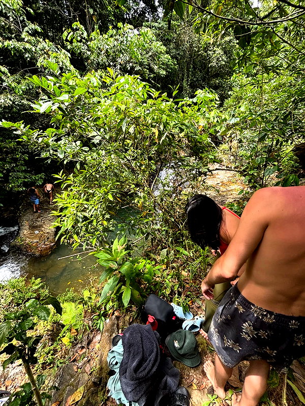 mosssaico instagram image archive image