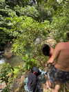 mosssaico Altpins Profile Picture