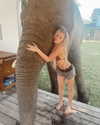 ellianawalmsley Altpins Profile Picture
