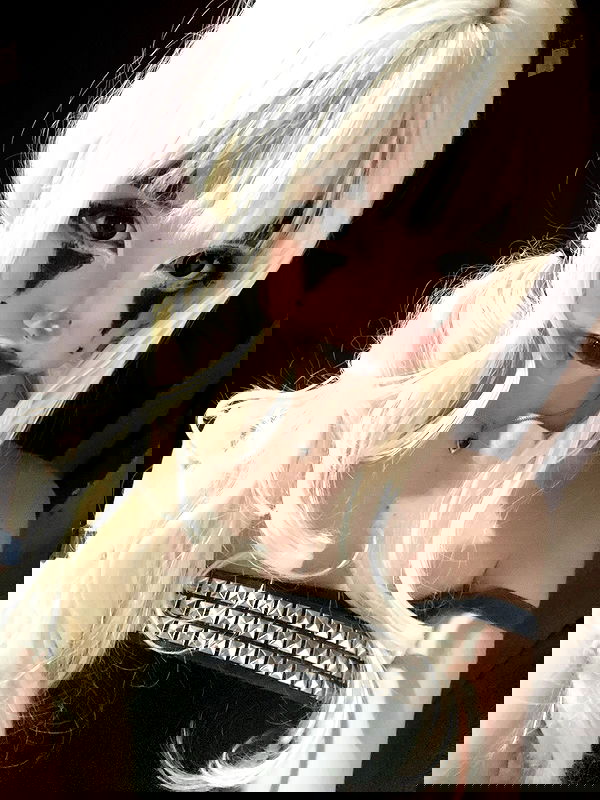 starttles starttles archive image