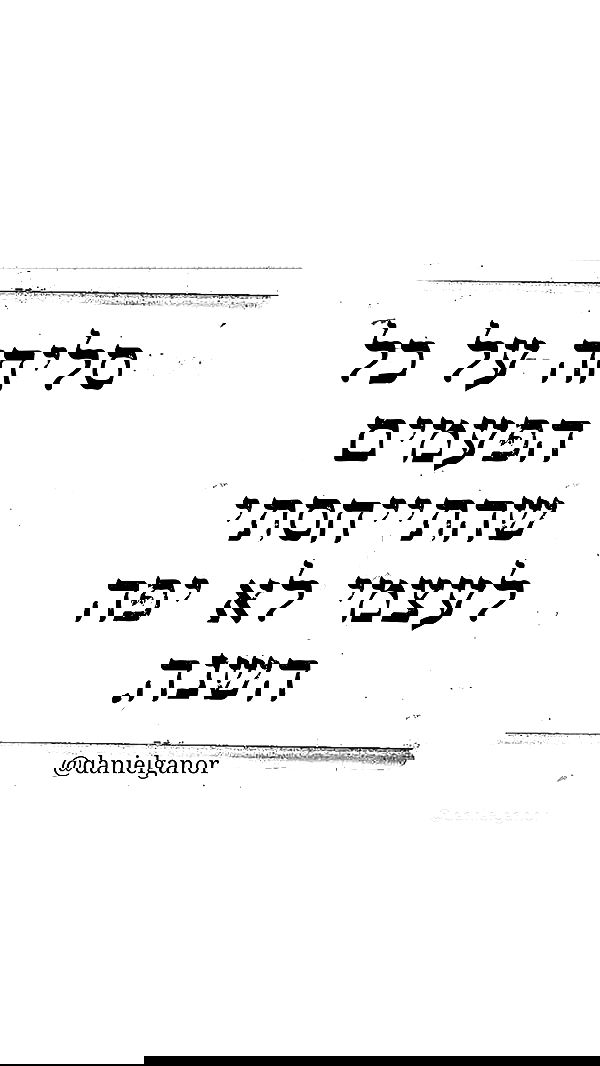 _lil_noa_ _lil_noa_ archive image