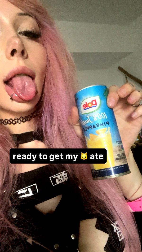 pixelpuppi instagram image archive image