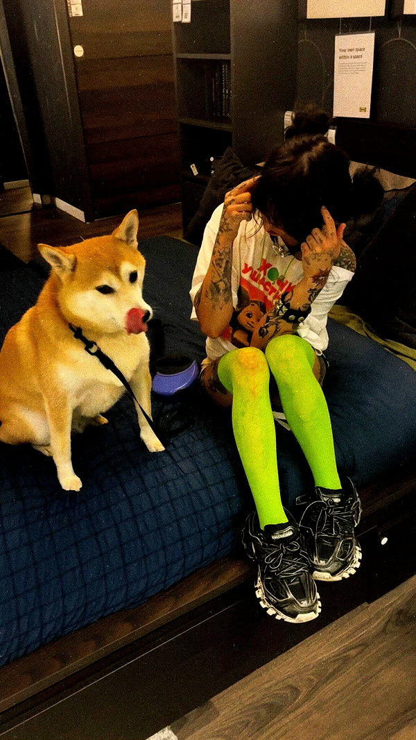 zommmbri instagram image archive image