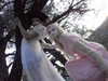 ch111oe Altpins Profile Picture