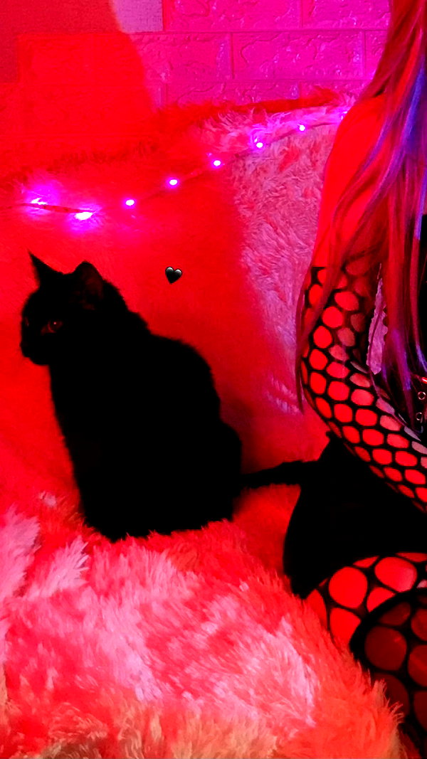 tiny.eviluv instagram image archive image