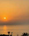 libby_reut Altpins Profile Picture